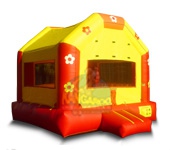 Fun House with Flowers
