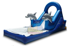 Ocean Slide with Pool