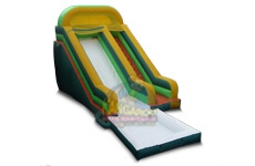 Slide with Pool