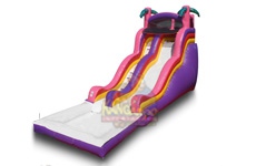 Pink & Purple Fun Slide