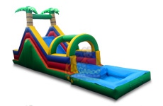 MultiColor Tropical Slide with Pool