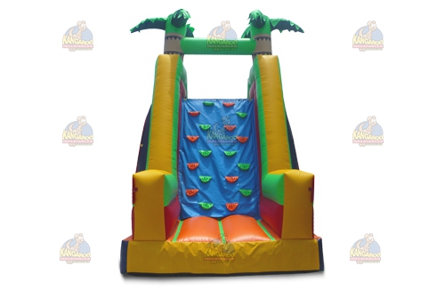 17 Bright Color Tropical Slide with Pool